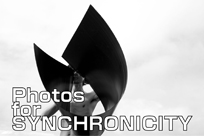 SYNCHRONICITY'10 AUTUMNフライヤー写真